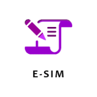 LOGO ESIM